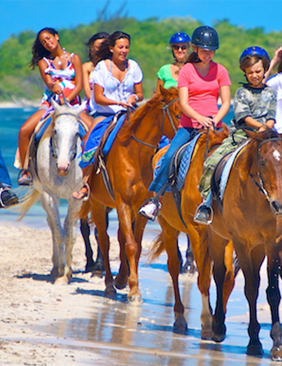 Travelers%20Yardi%20Tours