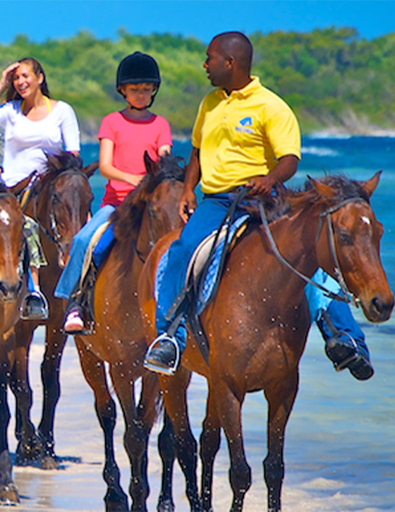 Travelers%20Yardi%20Tours