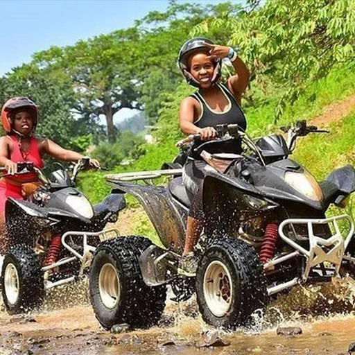 Travelers%20Yardi%20Tours